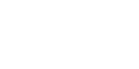 450x225 tagesschau white