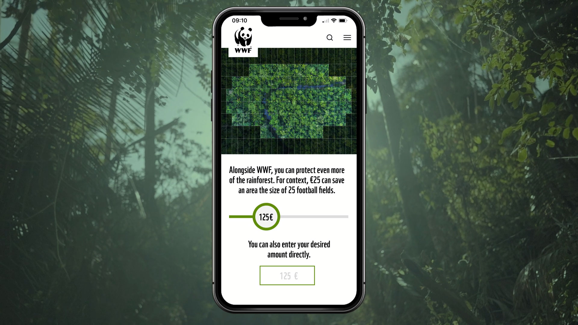 Zu sehen ist ein Smartphone mit der Kampagnen-Landingpage. Mithilfe eines Sliders kann der User bestimmen, wie viel er spenden möchte. Im Hintergrund ist ein Regenwald abgebildet.