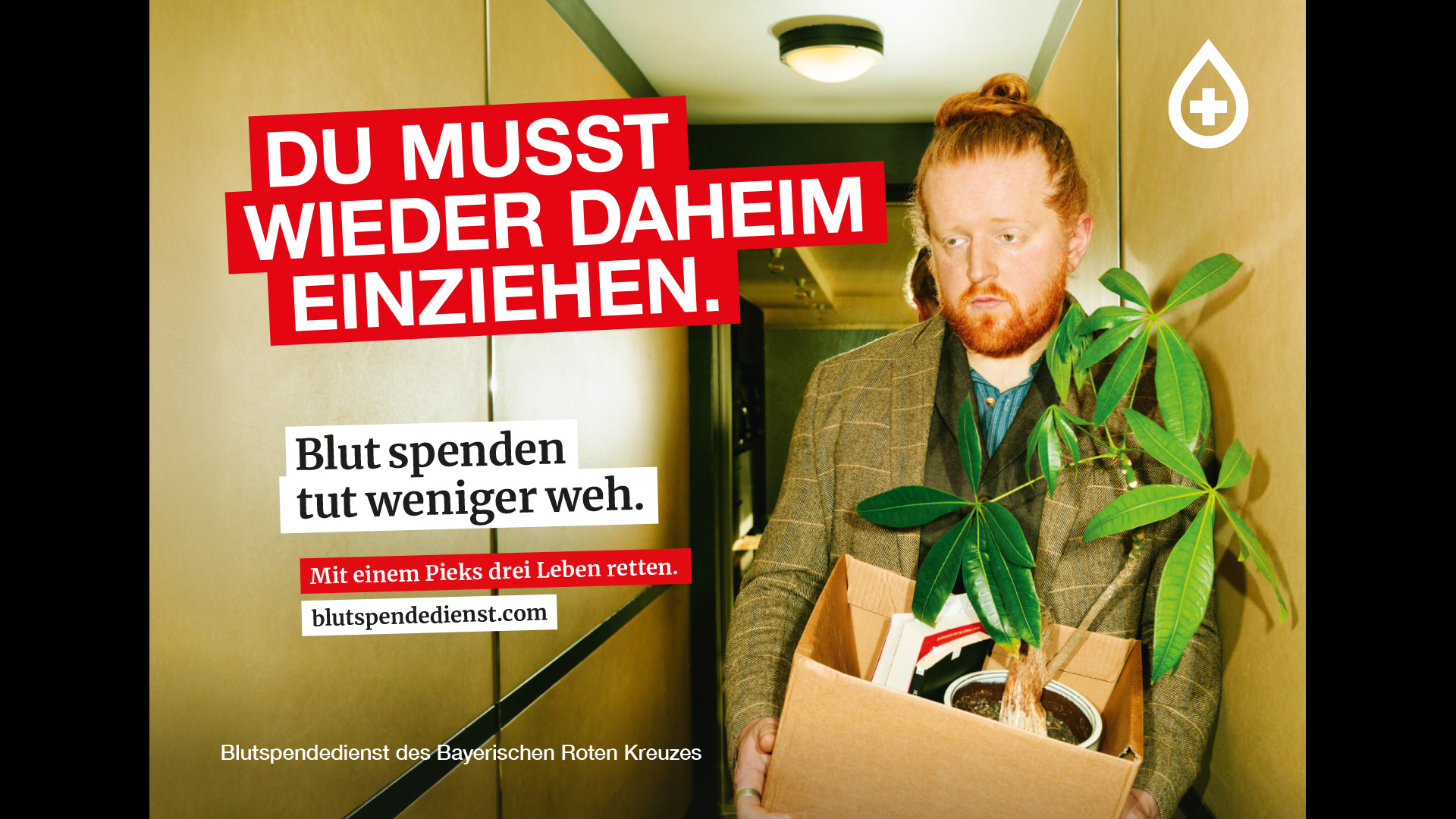1920x1080 se brk kampagne 2026 wieder einziehen